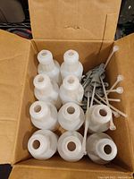 Box with 10 white semi-translucent plastic spray bottles without nozzles shown separately inside the box.