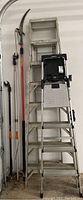 Photo showing two ladders: an 8 ft all-metal extension ladder and a 6 ft Cosco step ladder, alongside three assorted pole saws/limb trimmers with metal extension poles, and other assorted garden tools.