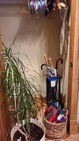 Overall lot showing stand with umbrellas, wicker basket with compact umbrellas, potted plants, and hangers
