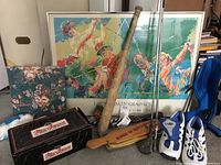 Overview of golf and sports lot showing abstract golf print, golf shoes, clubs, baseball bat, spring shoes, and accessory brace.