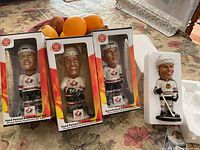 Three unopened hand-painted hockey player bobbleheads in original boxes: Owen Nolan, Rob Niedermayer, Rob Blake. Also a loose Chicago Blackhawks bobblehead figurine on the table.