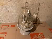 Full view of glass cloche with two silvered cardinal birds on a branch and gray pedestal base, placed on cardboard with concrete wall background.