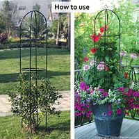 Two images showing the garden trellis in use outdoors with climbing plants, demonstrating its purpose and height.