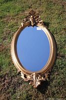 Full front view of ornate oval mirror lying on grass