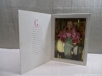 Barbie doll neatly displayed inside original box with gold reflective backdrop and detailed text on inner box flap.