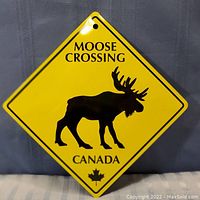 Full view of the yellow metal moose crossing sign with text and silhouette visible.