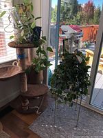Metal plant stand holding a trailing vine plant in a grey pot. Another trailing vine plant is on a multi-level cat tree nearby. Visible outdoor balcony through glass doors.