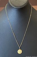 Full view of gold-toned 20 inch chain necklace with pendant on black jewelry display.