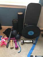 Wide view of all items showing black balance board, foam rollers, pink hand weights, massagers, and jump ropes.