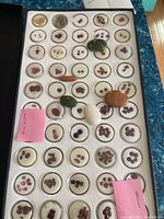Full view of gemstone samples in their round containers arranged in a display case, showing various colors and sizes.