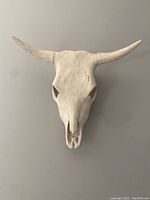 Frontal view of the ceramic bull skull wall decor showing detailed horns and skull features.