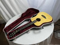 Full view of Baby Taylor guitar seated in open hard shell case on table