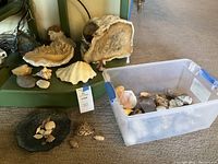 Wide view of geodes, seashells on the floor and in a plastic container, and part of the vintage plate with seashells.