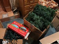 Photo showing the box of artificial green pine garland and the separate box of Christmas string lights.