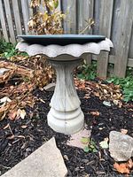 Full view of concrete bird bath showing scalloped edge basin and fluted pedestal on ground in garden.