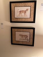 Two framed animal prints on wall, showing lion and tiger images with textured beige mats and black metal frames.