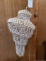 Front angled view of shell hanging decor showing intricate shell weaving and top loop.