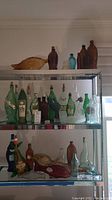 Three glass shelves displaying amber, green, clear, and red fish-shaped glass bottles in various styles and sizes