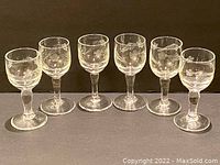 Set of six clear glass liqueur glasses arranged in a row showing etched floral and leaf designs on each glass.