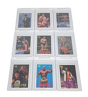 Nine WWF wrestling cards in protective sleeves showing Mr. Fuji, Demolition, Haku, Miss Elizabeth, Andre the Giant, Bobby Heenan, The Rockers, Hulkster/Hulk Hogan.