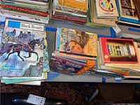 Top view of three stacks of children's books showing colorful illustrated covers and visible titles including 'Black Beauty' and 'The Tin Committe'.