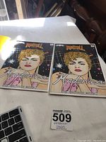 Two identical Madonna comic books lying side by side on a surface, showing front covers with illustrated portrait of Madonna.