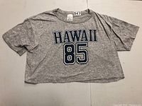 Full front view of vintage grey shortie T-shirt showing entire shirt and printed text "HAWAII 85".