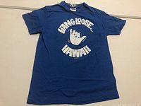 Full view of blue vintage T-shirt with Hang Loose Hawaii graphic.