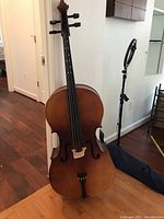 Front view of full-size cello standing upright with case visible behind