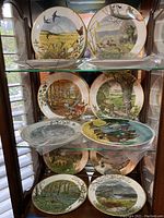 Photo of multiple 9-inch collector plates arranged on glass shelves, showing various nature scenes and gold rims.