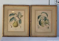 Two bamboo framed fruit botanical prints side by side on wall, showing overall condition and appearance