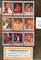 Nine Scottie Pippen basketball cards in red border from 1993 STAR International series, arranged in three rows of three, with a Certificate of Authenticity at the bottom right