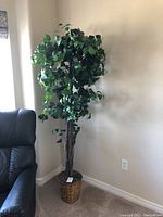 Full view of the faux ficus tree beside a black chair, shows the height and placement in a corner of a room with beige walls and carpet.