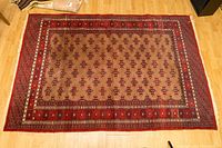 Full image of the hand knotted Persian wool rug showing full pattern, size approximately 4x6 feet on a wood floor.