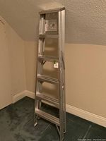 Side view of the ladder showing the full height and step detail.