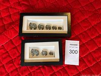 Two black wooden shadow box frames containing sets of elephant figurines on a red quilted background.