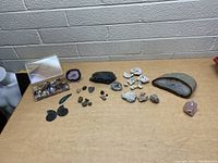 Full view of lot showing various rocks, geodes, fossils, and minerals spread on a table including a clear box with tumbled stones, ammonite fossils, and a large cut geode.