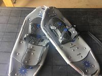Pair of Powder Ridge snow shoes showing top view including bindings and frame structure.