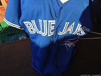 Front view showing BLUE JAYS text and team logo on blue jersey fabric with button closure.