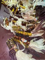 Photo showing numerous ears of Indian corn with various colors and sizes spread out, mostly yellow, purple, and black kernels visible with dried husks attached.