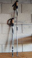 Full view of pair of adjustable aluminum hiking sticks with foam handles and wrist straps against a wall.