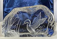 Crystal sculpture of a loon bird with wings raised splashing in water next to reeds on blue satin background inside box.