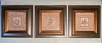 All three framed leaf prints laid out side by side, showing consistent size and color scheme