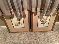 Two matching framed botanical prints resting upright against wall, showing the full pieces with gold-tone frames and striped pink mat.