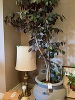 Full view of the faux Benjamina tree showing its height and container beside a lamp for scale.