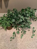 Overall view of five faux plants placed on carpeted floor, showing varying leaf types including ivy and fern.