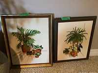 Two framed textile art pieces side by side, showing different potted plant subjects, with size labels on the frames