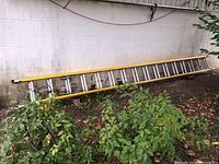 Two-section ladder leaning against exterior wall, partially extended