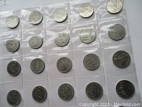 Full view of 20 Canadian silver dollar coins arranged in a 4x5 grid in a vinyl coin holder sheet, showing obverse and reverse designs in circulated to near uncirculated condition.