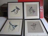 Four framed vintage bird etchings by J F Lansdowne, depicting different bird species, set on a white surface.